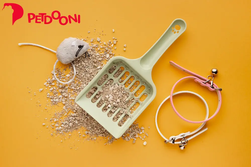 چگونه گربه خود را سریع به ظرف خاک عادت دهیم؟ | عادت دادن گربه به استفاده از ظرف خاک در پتشاپ آنلاین پتدونی 1404